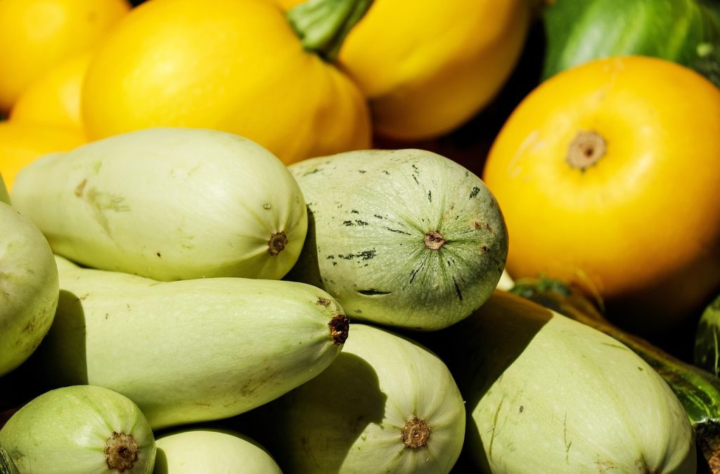 zucchinis, vegetables, fresh, produce, organic, harvest, green zucchinis, food, vegetarian, food photography, vegetables, vegetables, vegetables, vegetables, vegetables