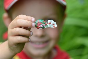 nature, outdoors, fun, bright, summer, little, boy, candies, macro, child, hand, kid, food, smile, brown candy